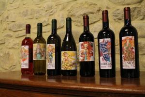 a group of wine bottles sitting on a table at Fattoria di Pieve Pagliaccia - Cantina Brugnoni in Perugia
