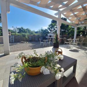 a patio with a table with a pot of flowers at Podere Grandolfi B&B in Capoliveri