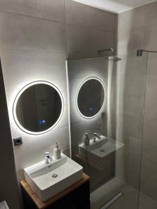 a bathroom with a sink and a shower and a mirror at BinderHaus 27 in Sibiu +6 photos