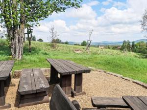 zwei Holzbänke und ein Picknicktisch auf einem Feld in der Unterkunft Apartment Sprejnik by Interhome in Butterberg