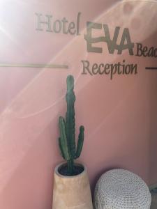 Fotografie z fotogalerie ubytování Eva Beach Hotel Lefkada v destinaci Nydri + 37 fotografií