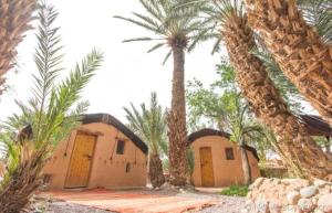 a group of palm trees in front of a building at Ecolodge La Palmeraie in Ouarzazate