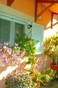 VatoniaíにあるARIADNI DREAM HOUSEのギャラリーの写真 +23枚の写真