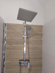 a shower with a light in a bathroom at Appartement Theizé - Les meublés des Pierres Dorées in Theizé +22 photos