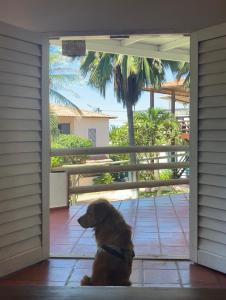 a dog sitting in the doorway of a house at Ville Sweet Home in Canoa Quebrada