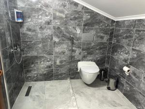 a bathroom with a toilet and a shower at Pelit Park Hotel in Trabzon