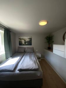 a large bed in a bedroom with a window at Vikavegen Stryn in Stryn
