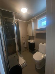 a bathroom with a shower and a toilet and a sink at Vikavegen Stryn in Stryn