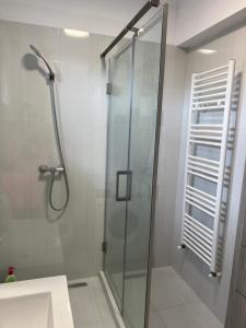 a bathroom with a shower with a glass door at Apartament Anais in Alba Iulia +43 photos