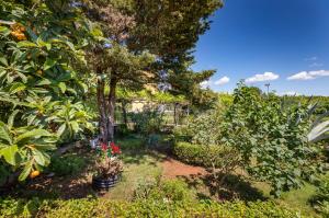 Fotografie z fotogalerie ubytování Apartment Milena v destinaci Pula