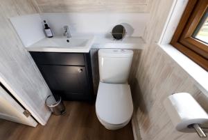 a small bathroom with a toilet and a sink at North Coast 500 Pods - Brora in Brora