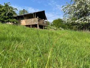 a house in the middle of a field of grass at Ecosse Glamping in Crossford