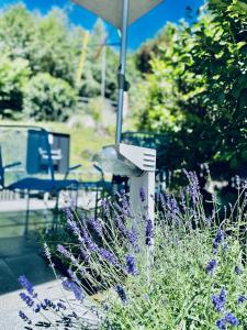 a garden with purple flowers and a table and an umbrella at Bed Bike and Breakfast Olten in Olten