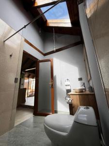 巴尼奧斯的住宿－La Quinta Mansión Lofts，一间带卫生间和玻璃淋浴间的浴室