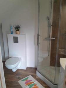 Koupelna v ubytování Apartamenty u Joli + 30 fotografií
