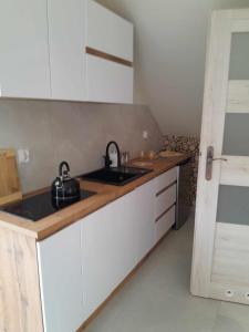 Kuchyň nebo kuchyňský kout v ubytování Apartamenty u Joli