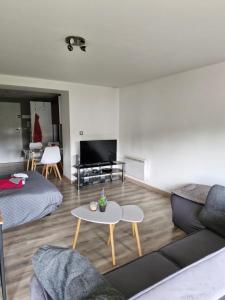 una sala de estar con un sofá y una mesa en Joli studio une pièce 15min à pied centre dEpinal 4 personnes grâce au canapé lit, parking privé gratuit et parking extérieur gratuit Machine à laver TV wifi machine à café linge de lit et serviettes fournis, en Chantraine