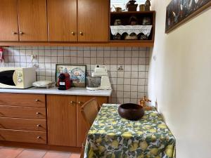 Kuchyň nebo kuchyňský kout v ubytování Perivolakia Garden View + 9 fotografií
