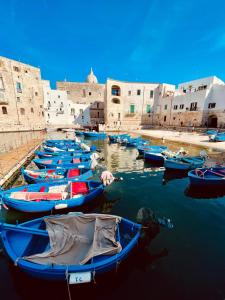 a group of boats in the water next to buildings at Domus Chiara in Monopoli