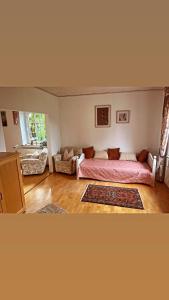 a living room with a bed and a couch at Ferienwohnung mit WINTERGARTEN in Bahnhofsnähe in Eystrup