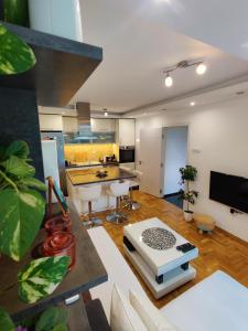 Il comprend une cuisine et un salon avec une table. dans l'établissement Ana Apartment, à Novi Sad