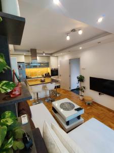 Il comprend un salon avec un canapé et une cuisine. dans l'établissement Ana Apartment, à Novi Sad