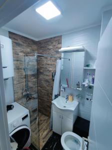 bagno con doccia, lavandino e servizi igienici di Ana Apartment a Novi Sad
