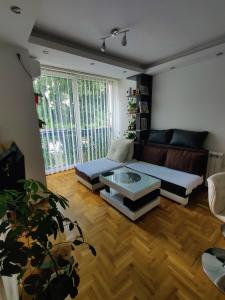 sala de estar con sofá y mesa de centro en Ana Apartment en Novi Sad