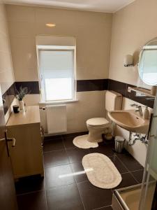a bathroom with a toilet and a sink and a window at Apartman Tony Deluxe near Zagreb Airport in Velika Gorica +17 photos