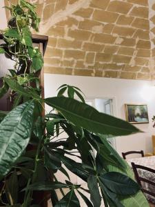 Fotografie z fotogalerie ubytování Giovanna Home v destinaci Marsala