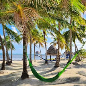 - un hamac sur une plage bordée de palmiers dans l'établissement Dolphin Dreams Villa B3, à San Pedro