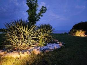 A garden outside Private Villa 102 with heated pool in BlackSeaRama