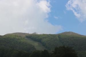 una vista de una colina con árboles en ella en Residence Cimone SuperSci en Riolunato