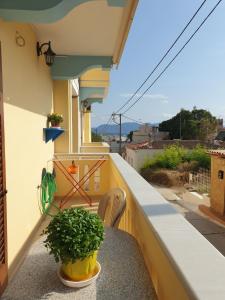 balcone con una pianta e una sedia di Beautiful house in Aegina a Città di Egina