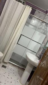 La salle de bains est pourvue de toilettes, d'un lavabo et d'une douche. dans l'établissement شقه مفروشه مع حديقه اربد بجانب مدارس دار العلوم, à Irbid