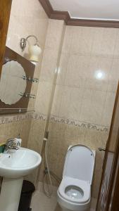 a bathroom with a white toilet and a sink at شقه مفروشه مع حديقه اربد بجانب مدارس دار العلوم in Irbid