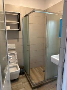 uma pequena casa de banho com WC e lavatório em Hotel Tepelena em Tepelenë