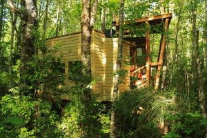 domek na drzewie w środku lasu w obiekcie Casita Arbol w mieście Puerto Fuy