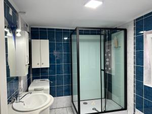 a bathroom with a shower and a toilet and a sink at Vila Teo in Bărăşti