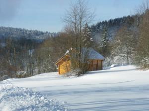 una cabina in legno nella neve con un campo innevato di Chalet des platanes Entre l'Alsace et les Vosges Nature a La Grande Fosse