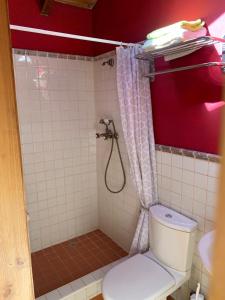 a bathroom with a toilet and a shower at La Casina de Lucia in Merodio +20 photos