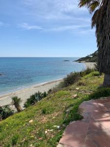 Příroda nedaleko apartmánu + 4 fotografie