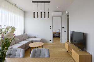 TV a/nebo společenská místnost v ubytování Esplanaadi Apartment with roof terrace