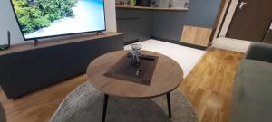 TV a/nebo společenská místnost v ubytování OpenView Apartment