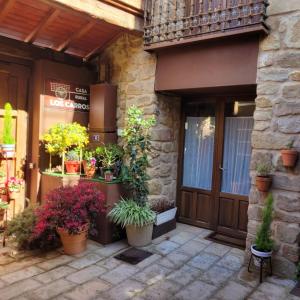 San AsensioにあるCasa Rural Los Carrosの鉢植えが置かれた店先