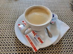 Fotografie z fotogalerie ubytování Hotel Villa Sofia v destinaci Truskavec