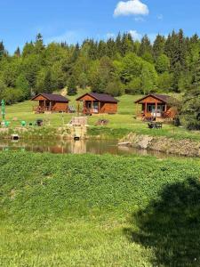 a group of huts in a field next to a river at Cabane Areama Neagra in Izvoru Mureşului