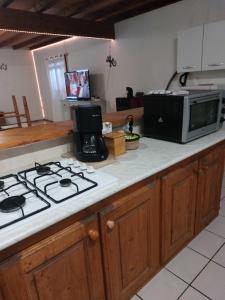 een keuken met een kookplaat en een magnetron bij Dominique et Françoise in Fourques-sur-Garonne
