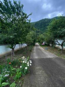 een weg met bloemen en bomen aan de zijkant bij Casa Aura in Băile Herculane