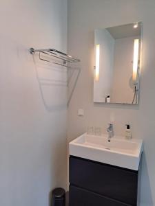 een badkamer met een wastafel en een spiegel bij Hotel Bloemendaal in Bloemendaal